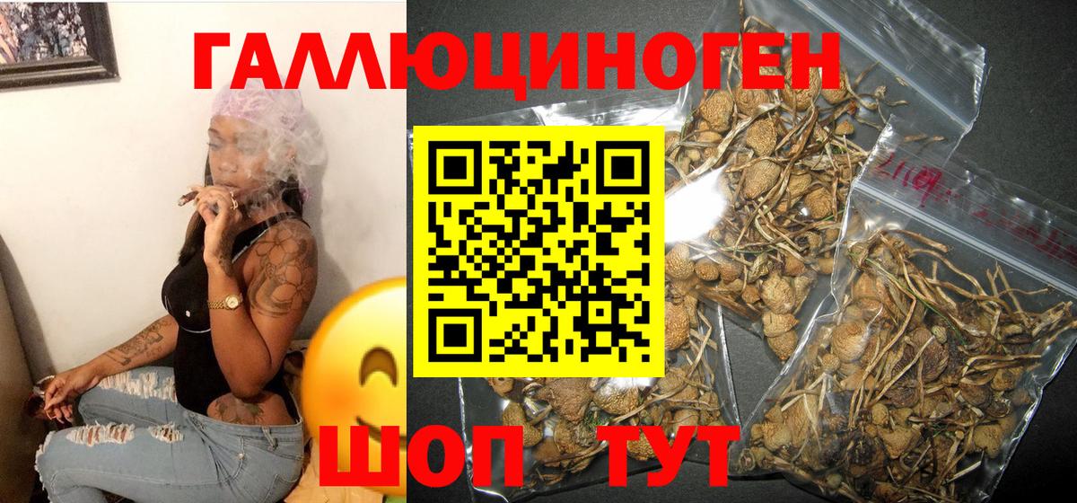 Галлюциногенные грибы Psilocybe  Вход с VPN  Ангарск 