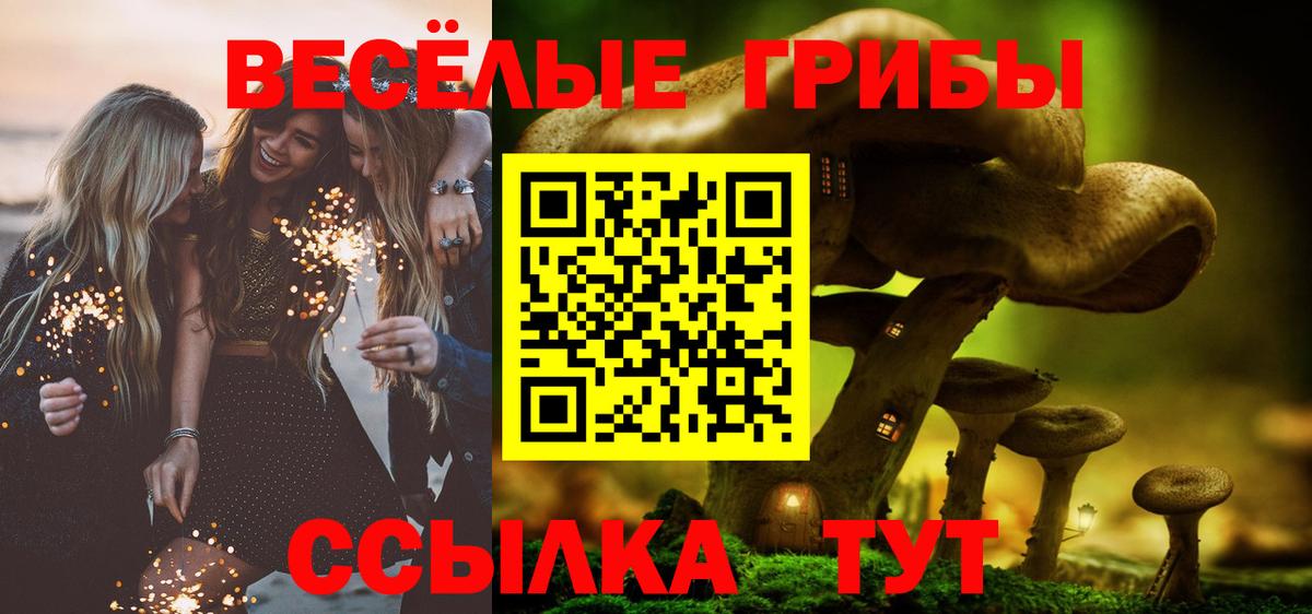 Галлюциногенные грибы мухоморы Ангарск